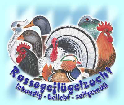 Verband Bayerischer Rassegeflgelzchter e.V.