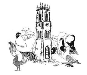 RGZV Robert Oettel Oelde 01 e.V.